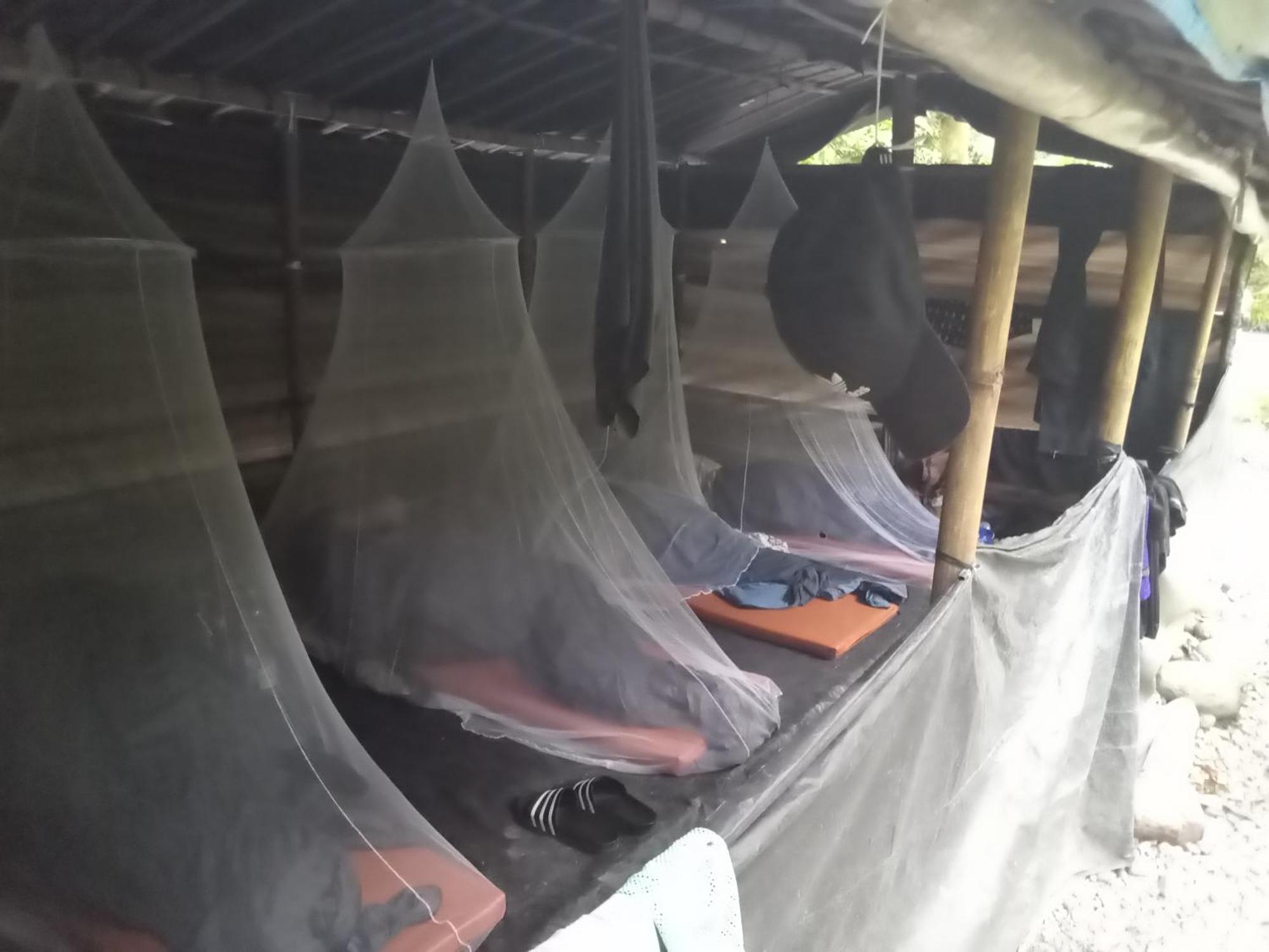 Jungle Treking & Jungle Tour If You Want To Stay Here,You Must Book Treking Only With Us Bukit Lawang Exteriör bild