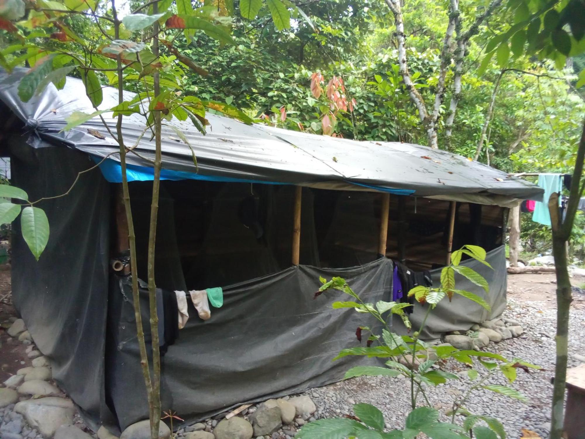 Jungle Treking & Jungle Tour If You Want To Stay Here,You Must Book Treking Only With Us Bukit Lawang Exteriör bild
