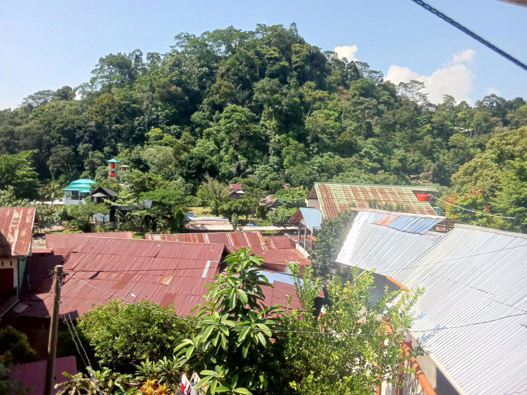 Jungle Treking & Jungle Tour If You Want To Stay Here,You Must Book Treking Only With Us Bukit Lawang Exteriör bild