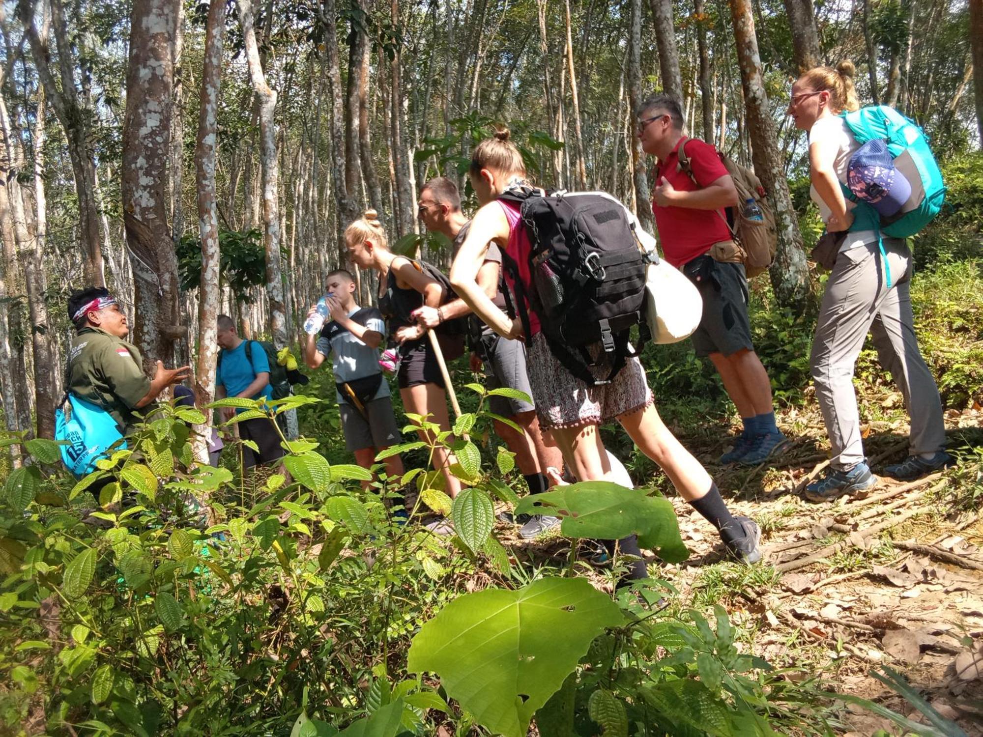 Jungle Treking & Jungle Tour If You Want To Stay Here,You Must Book Treking Only With Us Bukit Lawang Exteriör bild